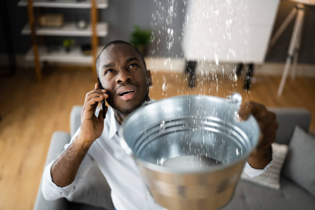 Best Water damage restoration mold remediation  in Cedar City, UT