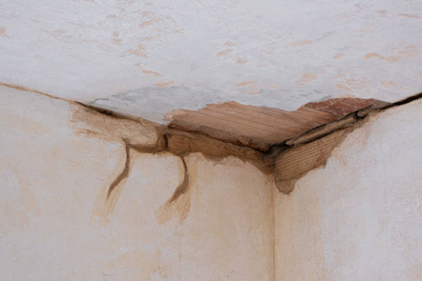 Best Flood damage cleanup  in Cedar City, UT