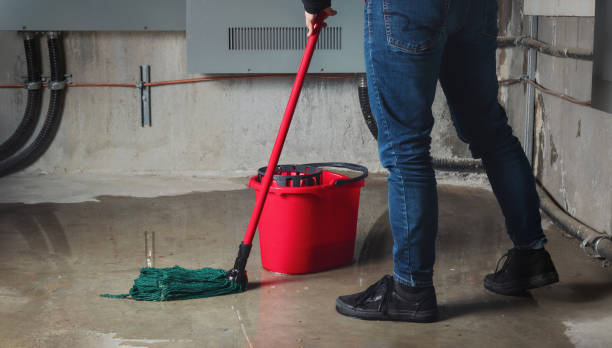 Best Flood restoration services  in Cedar City, UT