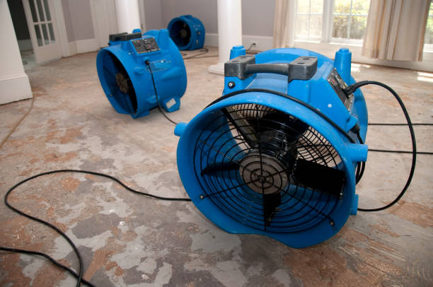 Best Local water damage restoration  in Cedar City, UT