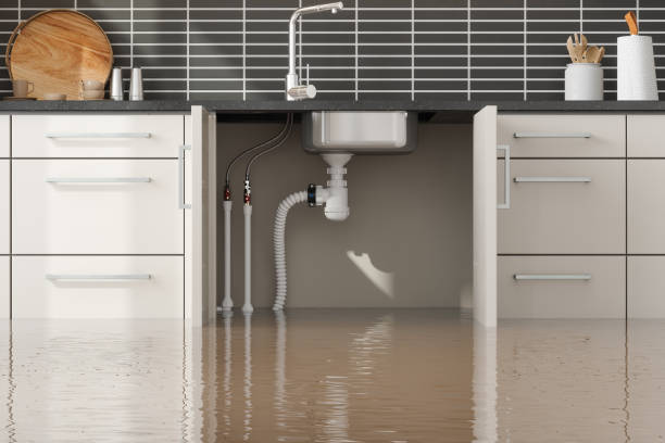 Best Commercial water damage restoration  in Cedar City, UT