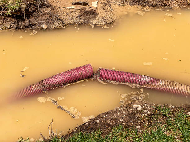 Best Professional water damage repair  in Cedar City, UT
